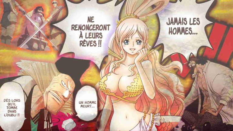 qu'est ce que le one piece
