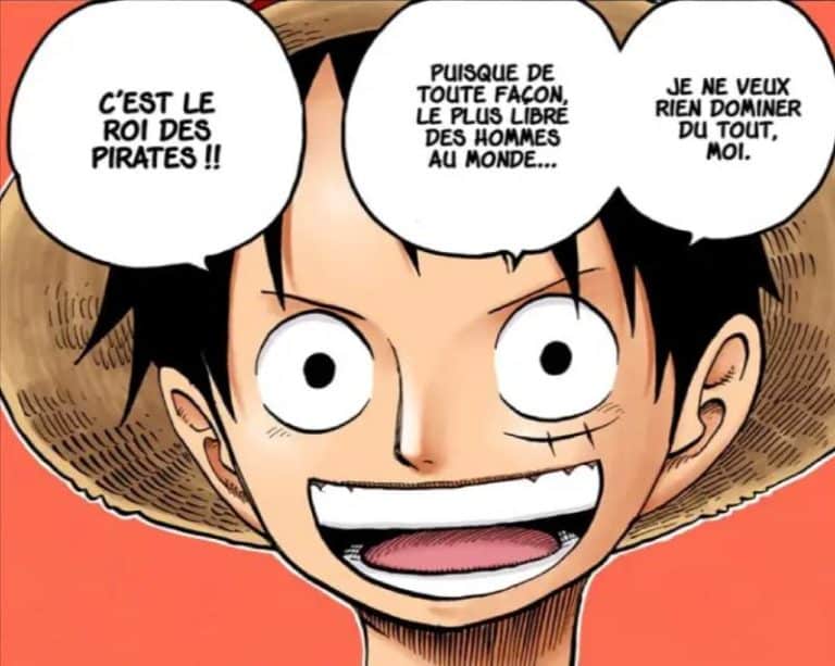 One Piece liberté, destin et déterminisme - OnePieceThéorie